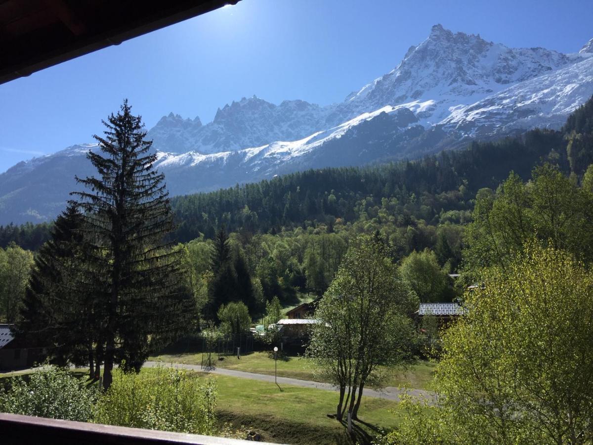 Appartement Face Au Mont Blanc & Glaciers Chamonix Bagian luar foto